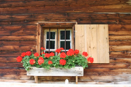 Aussicht und Einsicht